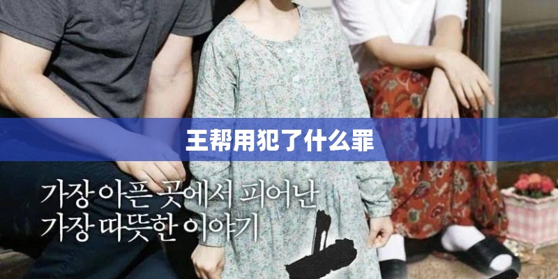 王帮用犯了什么罪
