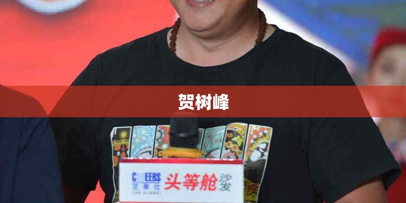 贺树峰