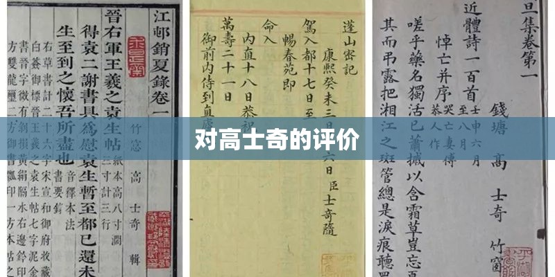 对高士奇的评价