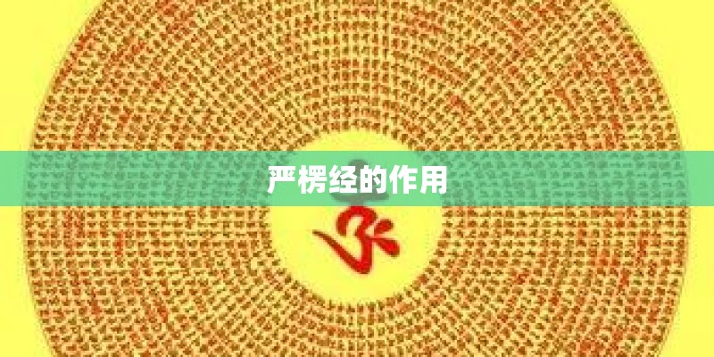 严楞经的作用
