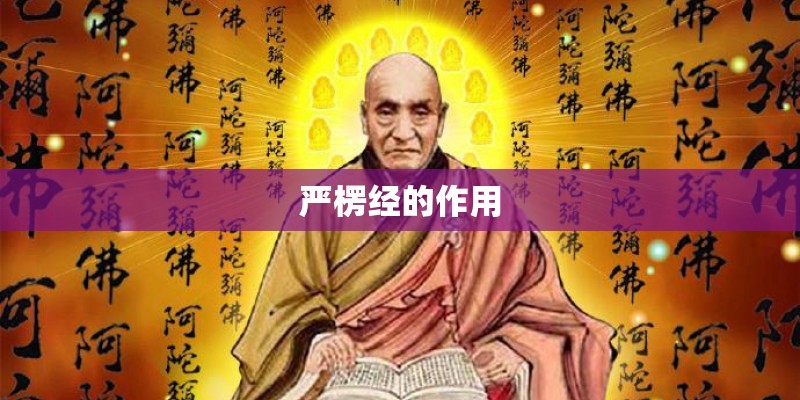 严楞经的作用