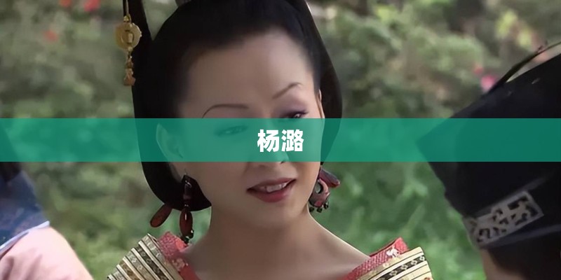 杨潞