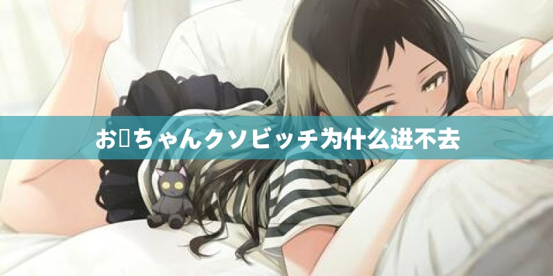 お姉ちゃんクソビッチ为什么进不去