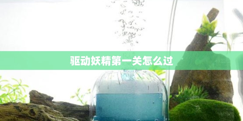 严楞经的作用