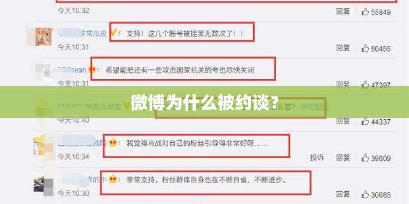 陈思诚把佟丽娅进贡给谁