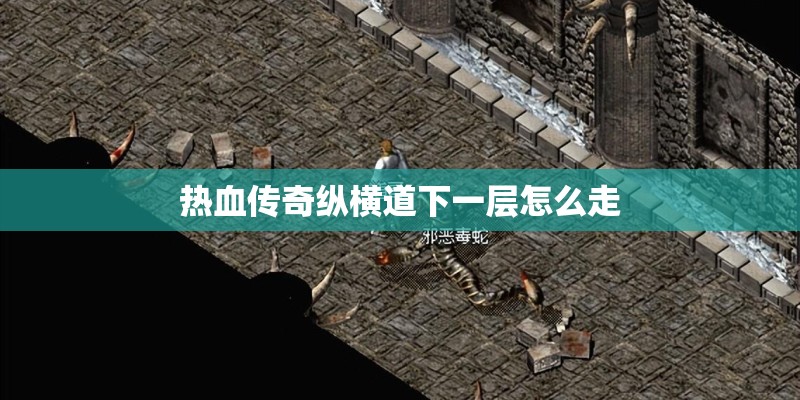 热血传奇纵横道下一层怎么走