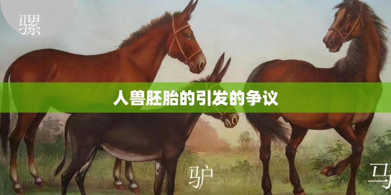 蒙古语里的那可儿是什么意思。成吉思汗时期的花剌子模是现在的那个国家。