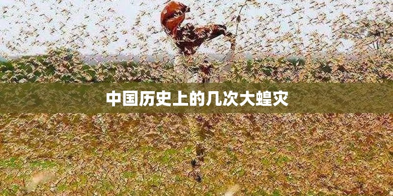 梁咏琪的简历？