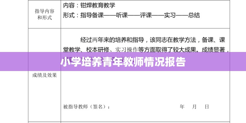 小学培养青年教师情况报告 小学培养青年教师情况报告
