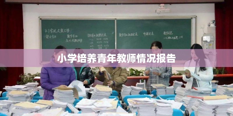 小学培养青年教师情况报告 小学培养青年教师情况报告