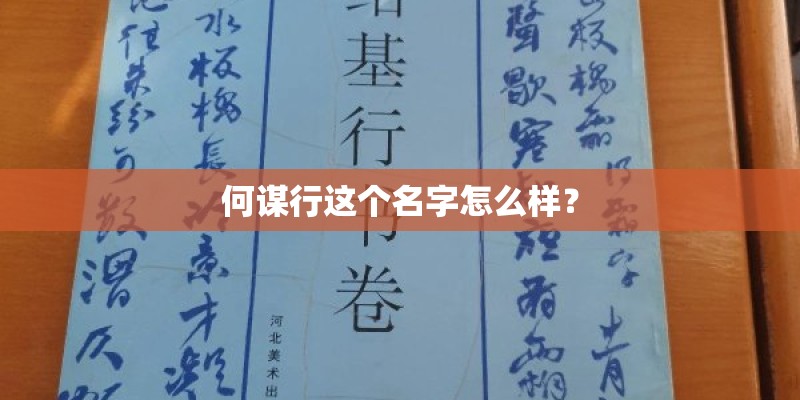 何谋行这个名字怎么样？