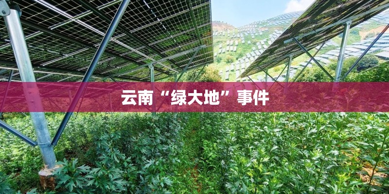 男生说女生傻白甜代表什么