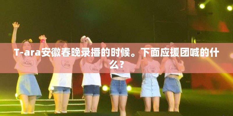 T-ara安徽春晚录播的时候。下面应援团喊的什么? T-ara安徽春晚录播的时候。下面应援团喊的什么?