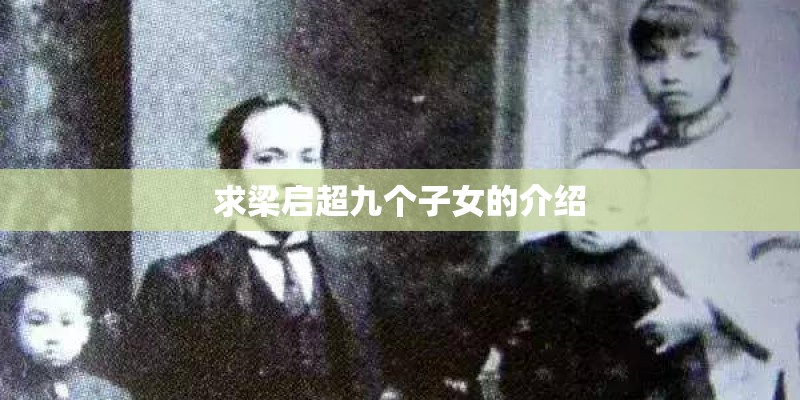 求梁启超九个子女的介绍
