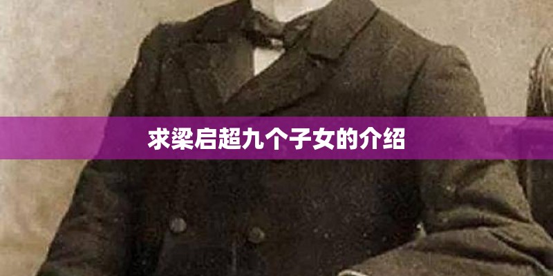 求梁启超九个子女的介绍