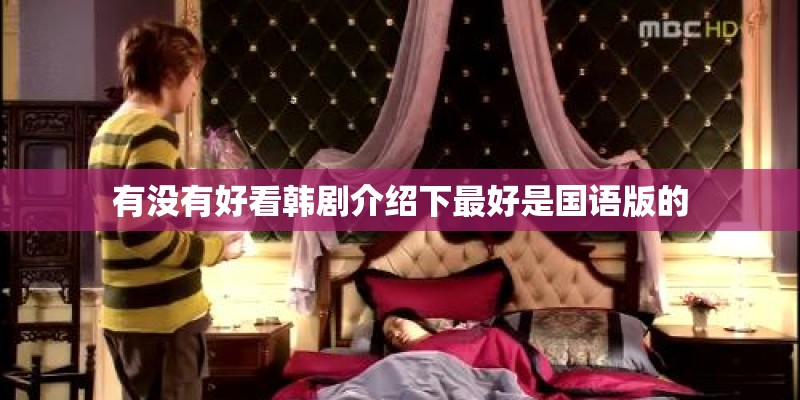 有没有好看韩剧介绍下最好是国语版的
