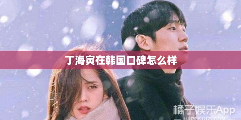 丁海寅在韩国口碑怎么样