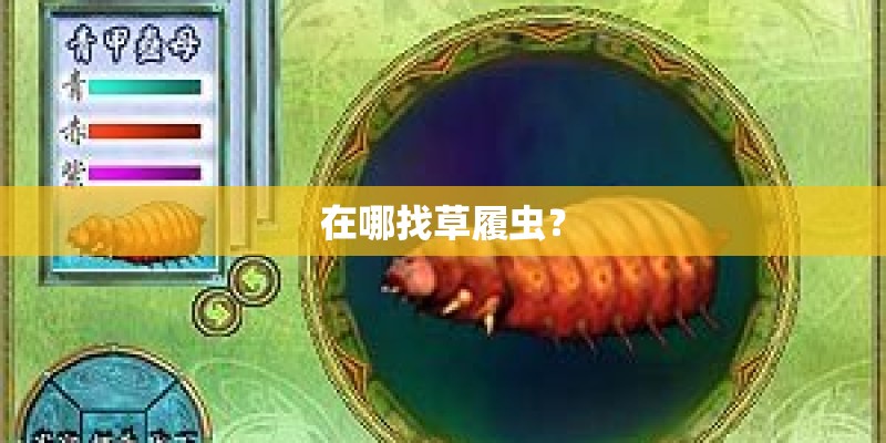 丁海寅在韩国口碑怎么样