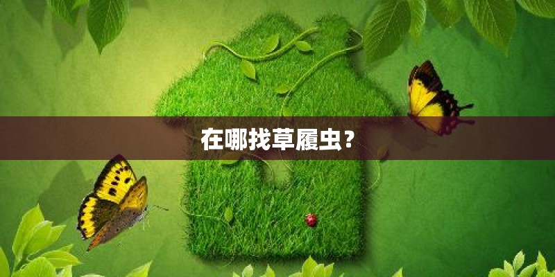 在哪找草履虫？