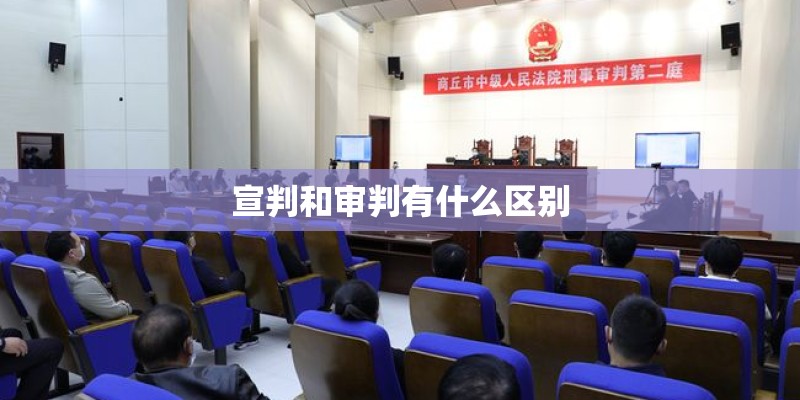 羽泉的所有专辑
