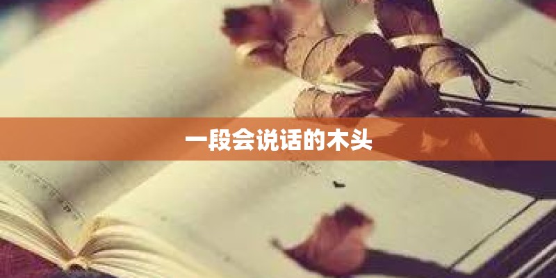 乱世丽人行最后结局是什么