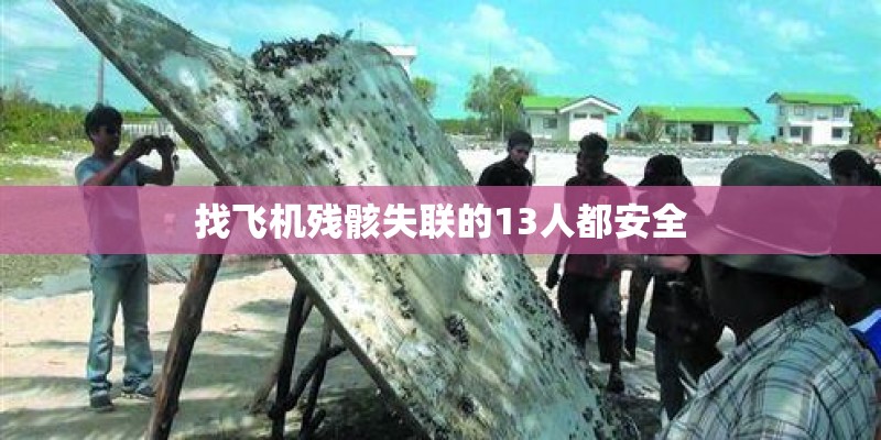 找飞机残骸失联的13人都安全